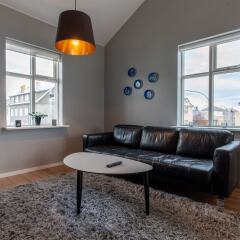 Baldur Apartments in Reykjavik, Iceland from 371$, photos, reviews - zenhotels.com photo 36