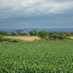 Hotel Restaurant Landhaus Rebstock - Bild 16