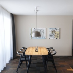 Andermatt Alpine Apartments thumbnail 18