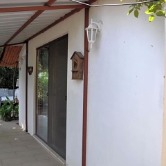 Cirali Kus Yuvası - Bild 10
