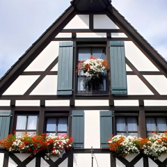 Hotel Restaurant Lohmühle - Bild 1