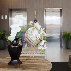 Mirage Express Patong Phuket Hotel - Bild 14