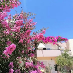 Mariliana Hotel thumbnail 17