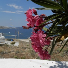Maroulinas Boutique Apartments & Studios thumbnail 12
