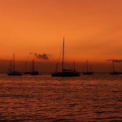 Lovina Villa Cinta - Bild 14