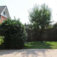 Landjägerhaus am Südstrand - Wohnung 4 + 5 - Bild 10