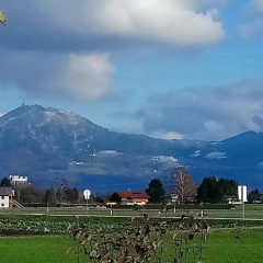 Hotel Restaurant Rupertigau - Bild 3