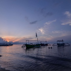 Aneka Lovina Villas and Spa - Bild 18