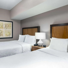 Hampton Inn & Suites Clayton/St. Louis-Galleria Area thumbnail 33