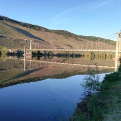 Sonnenufer Apartment & Moselwein I - Bild 8