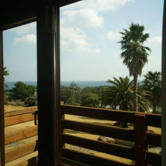 Sunny Day Jeju Pension thumbnail 35