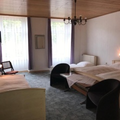 Starkenburger Hof Rheinhotel - Bild 3