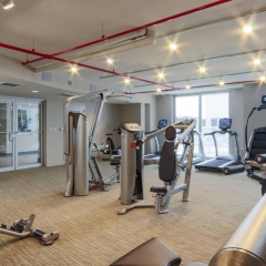 Pelicanstay in Coconut Grove Miami - Bild 11