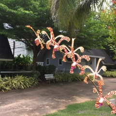 A Little Villa - Bild 16