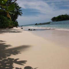 Ropiko Beach Resort in Gatokae, Solomon Islands from 214$, photos, reviews - zenhotels.com photo 5