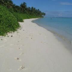 Apquo Veli Hotel Nilandhoo in Faafu Atoll, Maldives from 409$, photos, reviews - zenhotels.com beach photo 3