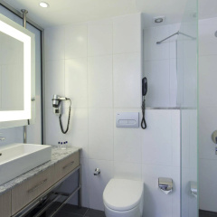 Falcon Hotel - Bild 9