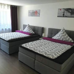 Noahs Apartments - Bild 5