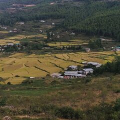 Paro Village View Home Stay in Paro, Bhutan from 76$, photos, reviews - zenhotels.com photo 20