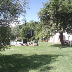 Terra Santa thumbnail 9