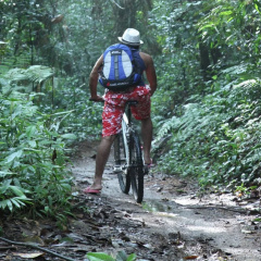 Sinharaja Forest Edge thumbnail 13