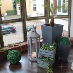 Stadtperle Rostock - Bild 15