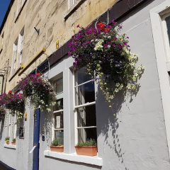 The Rising Sun Inn thumbnail 1