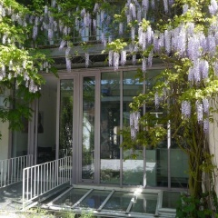 Pallazzo Alfonso - Bild 17