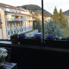 La Dolce Villa - Bild 12