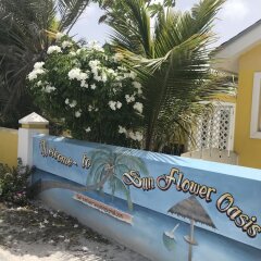 Sunflower Oasis in Grand Turk, Turks and Caicos from 928$, photos, reviews - zenhotels.com photo 15