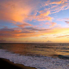 The Royal Inn Beach Hotel Hutchinson Island thumbnail 16