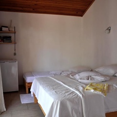 Cirali Kus Yuvası - Bild 1