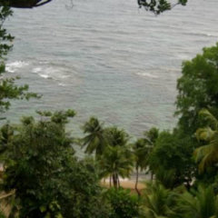 My Father's Place Guesthouse in Massacre, Dominica from 64$, photos, reviews - zenhotels.com photo 8