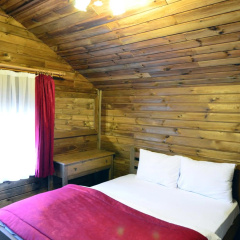 Uludag Orman Koskleri - Bild 3