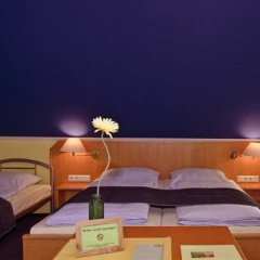 Pension Vicus - Bild 3