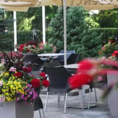 Cottage Sanatorium Belorusija in Jurmala, Latvia from 124$, photos, reviews - zenhotels.com photo 6