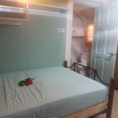 Coco Mango Suites in Portsmouth, Dominica from 101$, photos, reviews - zenhotels.com photo 2