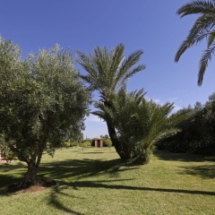 Villa Dar Tifiss - Bild 17