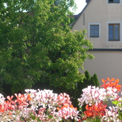 Akzent Hotel Schranne - Bild 12