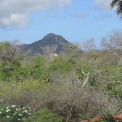 Trésor de la Montagne Boutique Resort - Adults Only (Adults only) in St. Marie, Curacao from 79$, photos, reviews - zenhotels.com photo 6