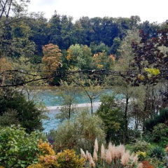 Aareggli - Bild 7