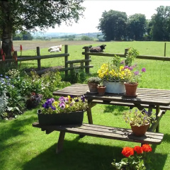 Yew Tree Farm thumbnail 6