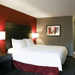 Hampton Inn & Suites Temecula in Temecula, United States of America from 197$, photos, reviews - zenhotels.com photo 33