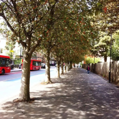 Wombat's City Hostel London thumbnail 23