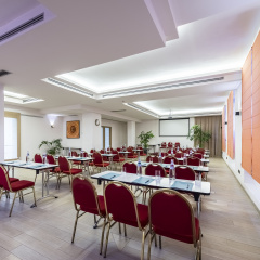 Occidental Aurelia - Bild 18