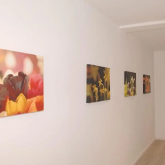 House Flora, Golden Knoepke - Bild 9