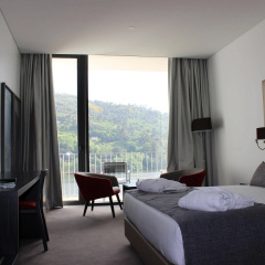 Douro Royal Valley Hotel & SPA thumbnail 2