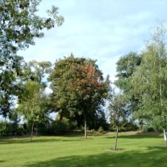 Pension Zum Engel - Bild 4