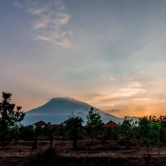 Pondok Mimpi Tulamben - Bild 15