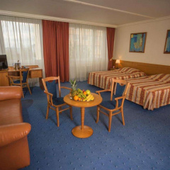 TOP HOTEL Praha & Conference Centre - Bild 25